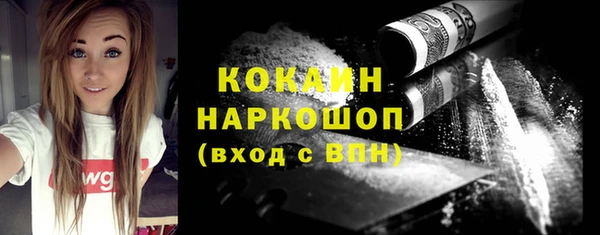 соль ск Михайлов
