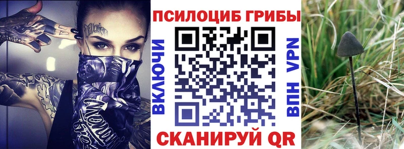 Псилоцибиновые грибы Psilocybine cubensis  купить наркотик  Красноперекопск 